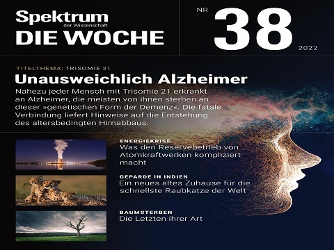 Spektrum der Wissenschaft Die Woche Magazin Nr 38 vom 22 September 2022
