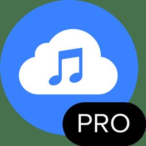 4K YouTube to MP3 PRO 4.6.5  macOS