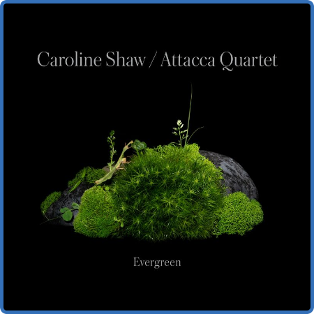 Caroline Shaw - Caroline Shaw  Evergreen (2022)