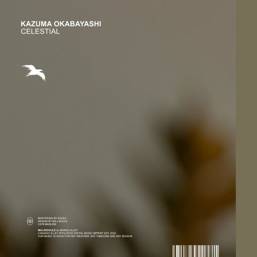 Kazuma Okabayashi - Celestial (2022)