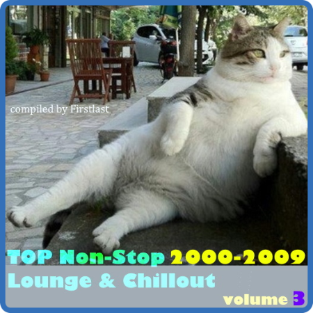 TOP Non-Stop 2000-2009 - Lounge & Chillout  Volume 3