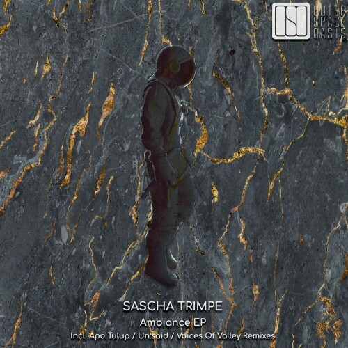 VA - Sascha Trimpe - Ambiance (2022) (MP3)