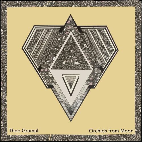 VA - Theo Gramal & Reyneke - Orchids from Moon (2022) (MP3)