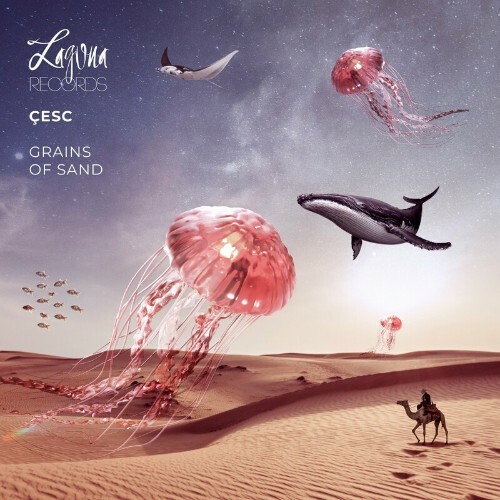 VA - Cesc - Grains of Sand (2022) (MP3)