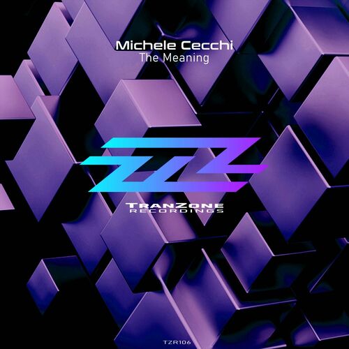 VA - Michele Cecchi - The Meaning (2022) (MP3)