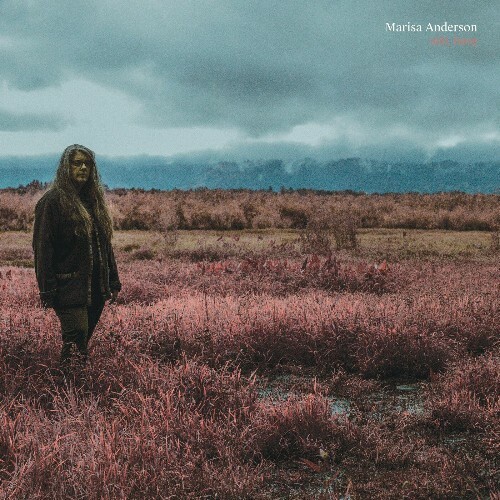 VA - Marisa Anderson - Still, Here (2022) (MP3)