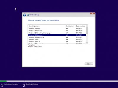 Windows 11 22H2 Build 22621.382 Aio 14in1 (No TPM Required) Multilingual  Preactivated