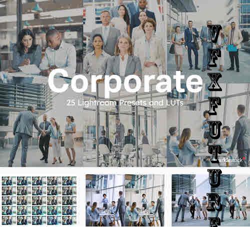 25 Corporate Lightroom Presets and LUTs - 10201910