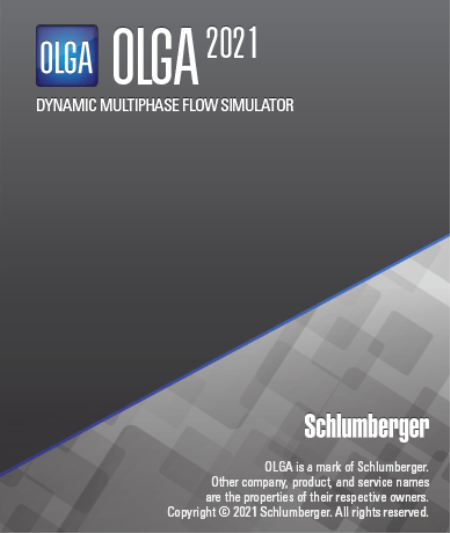 Schlumberger OLGA 2021.2 (x64)