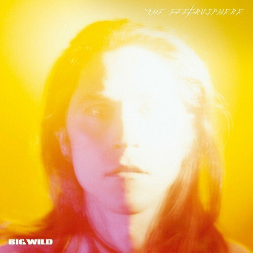Big Wild - The Efferusphere (2022)