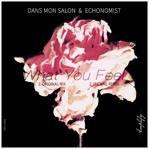 VA - Dans Mon Salon x Echonomist - What You Feel (2022) (MP3)