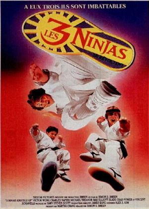 Три ниндзя: Костяшки вверх / 3 Ninjas: Knuckle Up (1993) DVDRip | P, A