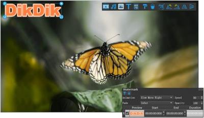 DIKDIK Video Kit 5.5.0.0  Multilingual