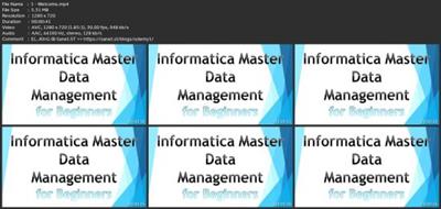 Informatica Master Data Management Hub  Tool 3d4fc7d810015a2b0f853c70bc23000a