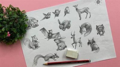 Learn To Draw In 60 Seconds: Woodland  Animals