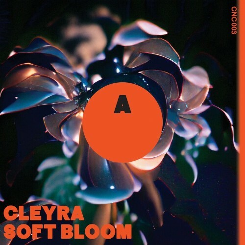 VA - Cleyra - Soft Bloom (2022) (MP3)
