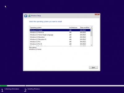 Windows 11 22H2 Build 22621.382 Aio 14in1 (No TPM Required) With Office 2021 Pro Plus Multilingual  Preactivated