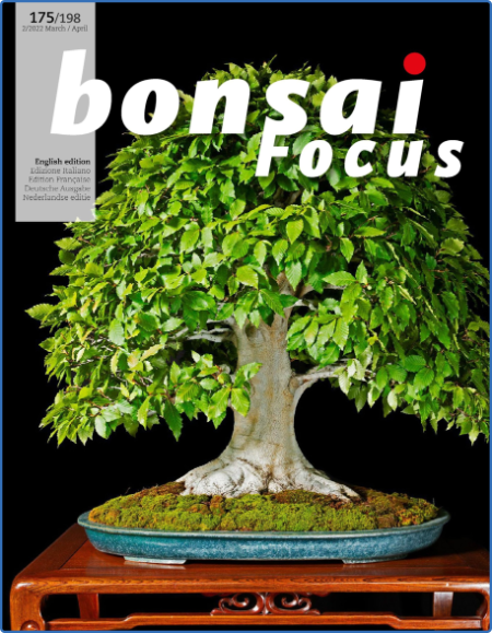 Bonsai Focus (English Edition) - March-April 2022