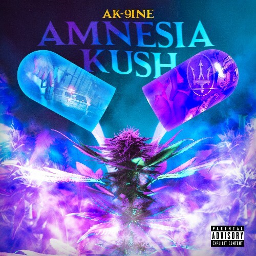 VA - AK-9ine - Amnesia Kush (2022) (MP3)