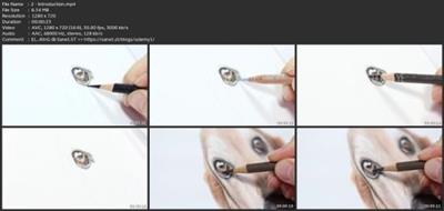 Learn To Draw A Dog'S Eye In Colored  Pencil 777fe6d426cf888e1116d5a059db73d4