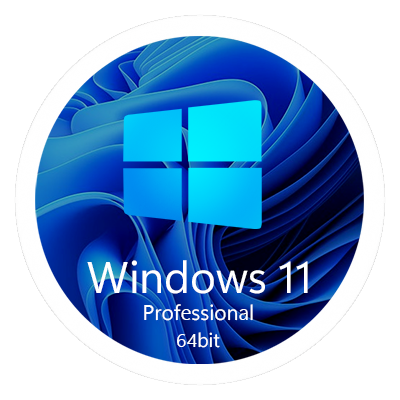 Windows 11 Pro 22H2