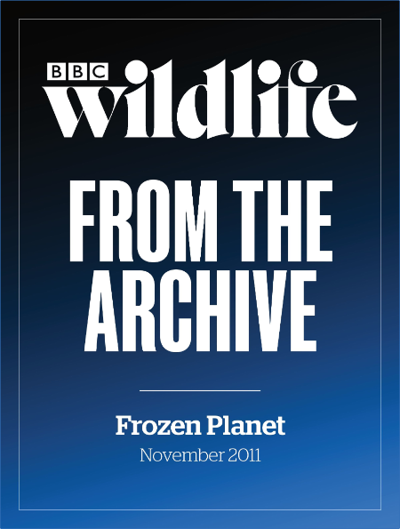 BBC Wildlife Specials – 22 September 2022