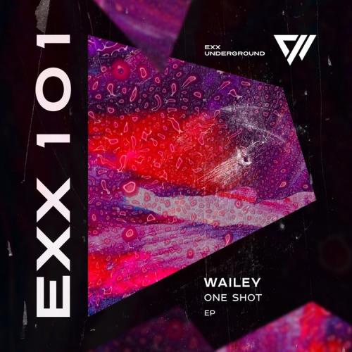 VA - Wailey - One Shot (2022) (MP3)