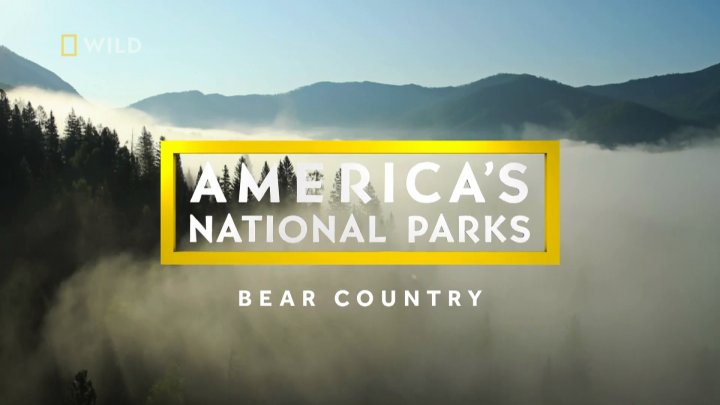 Parki narodowe USA: niedźwiedzie / America's National Parks: Bears (2022) PL.1080i.HDTV.H264-B89 | POLSKI LEKTOR
