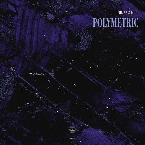 VA - Ninze & Niju - Polymetric EP (2022) (MP3)