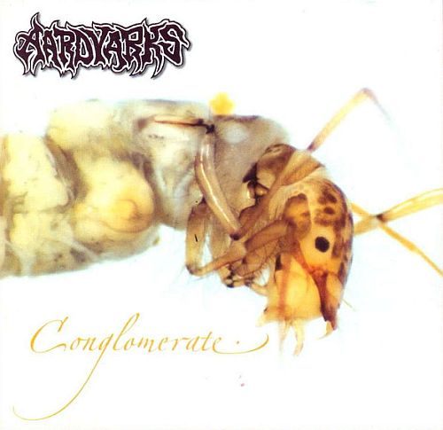 Aardvarks - Conglomerate (2004) (LOSSLESS)