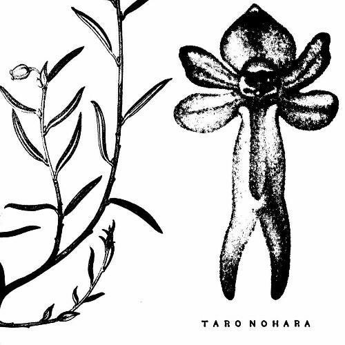 Taro Nohara - Poly-Time Soundscapes / Forest Of The Shrine (2022)