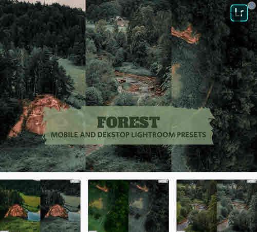 Forest Lightroom Presets Dekstop and Mobile Forest Lightroom Presets Dekstop and Mobile