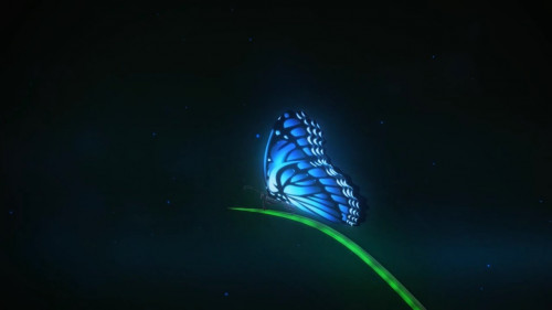 Magical Butterfly FX in Houdini