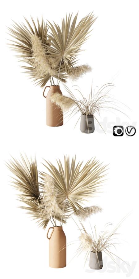 Dry palms and pampas 3D Model