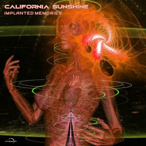 VA - California Sunshine - Implanted Memories LP (2022) (MP3)
