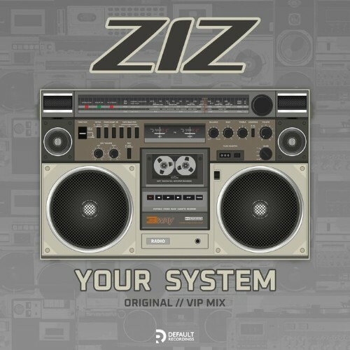 VA - Ziz - Your System (2022) (MP3)
