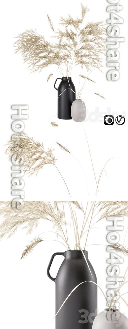 Vases set by H & M with pampas grass 3D Model