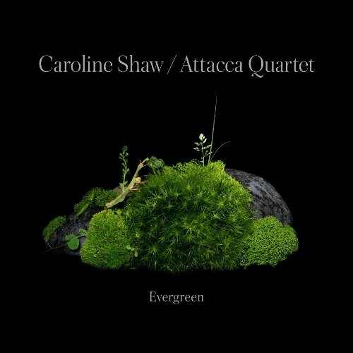 VA - Caroline Shaw and Attacca Quartet - Evergreen (2022) (MP3)