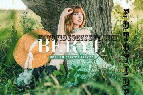 Beryl Pro Lightroom Presets - 10243234