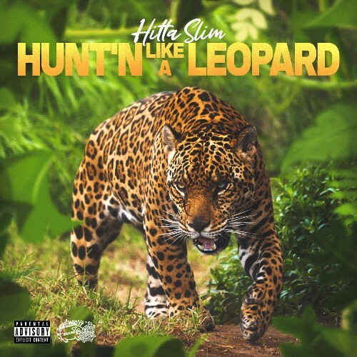 VA - Hitta Slim - Hunt'n Like A Leopard (2022) (MP3)