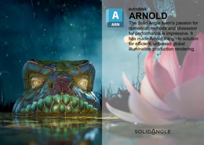 Solid Angle Cinema 4D to Arnold 4.4.0.1 Win x64