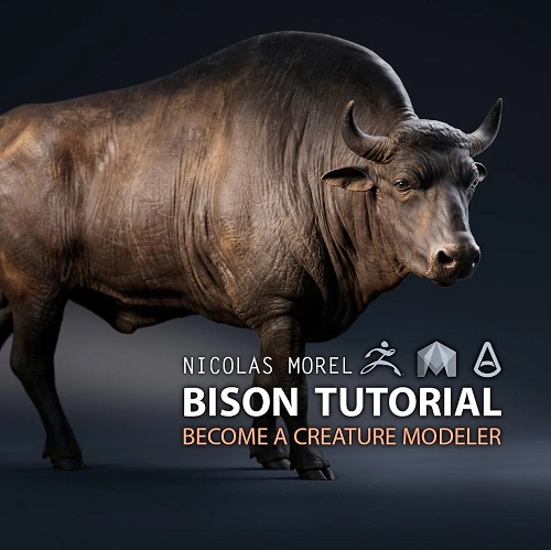 Gumroad - Nicholas Morel - Bison Tutorial