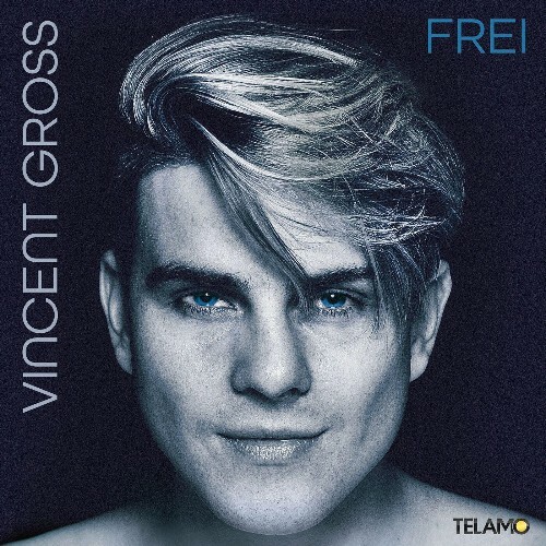 VA - Vincent Gross - Frei (2022) (MP3)