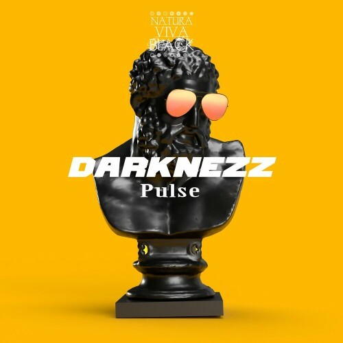 VA - Darknezz - Pulse (2022) (MP3)