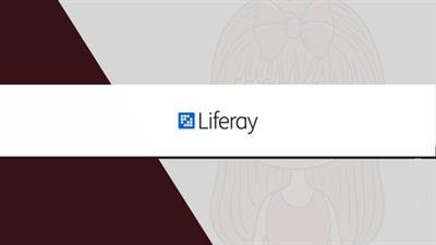 Liferay Dxp  Developer Ca0cacd98c6966c611bd1d724a225ad9