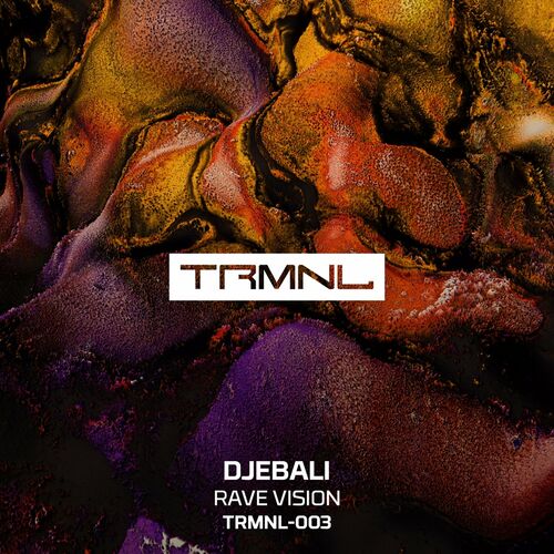 VA - Djebali - Rave Vision (2022) (MP3)