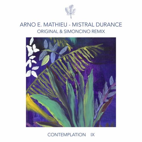 VA - Arno E. Mathieu - Contemplation IX - Mistral Durance (2022) (MP3)