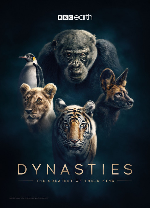 Dynastie / Dynasties (2022) [SEZON 2] PL.1080i.HDTV.H264-B89 | POLSKI LEKTOR