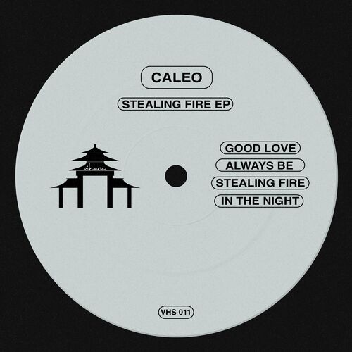 VA - Caleo - Stealing Fire EP (2022) (MP3)