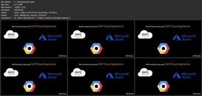 Your Own Sap Cloud System In 30  Minutes 9425f7b9288ade023ec7a49d7be713dc
